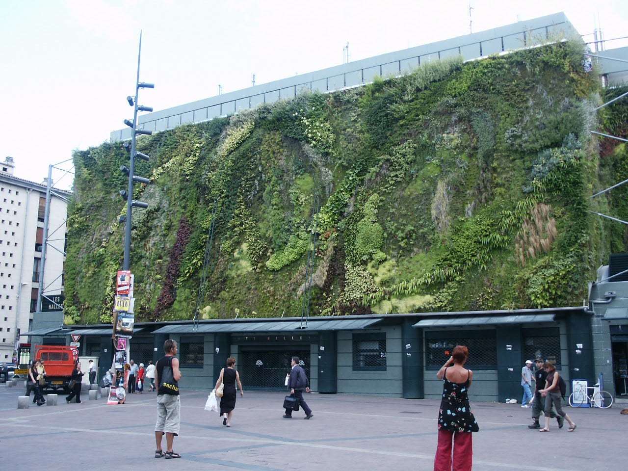 Le mur végétal des Halles d'Avignon, place Pie